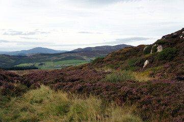 Landscapes of Ireland. The mountains of the Cooley Peninsula.