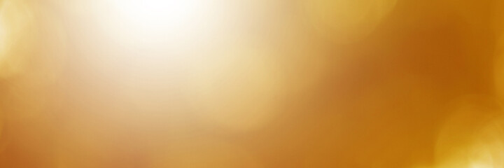 Green light leaves blurred and blur natural abstract. Effect sunlight  soft bright shiny style  bokeh circle yellow and orange blurry morning . For wallpaper backdrop and background.

