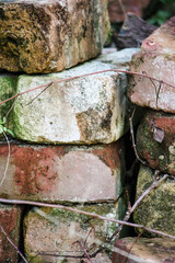 Antique bricks, overgrown in the middle of nowhere