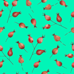Watercolor painted seamless pattern with rose hip berries.