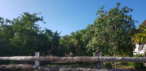 Fototapeta na wymiar cancun cenote holbox amanecer