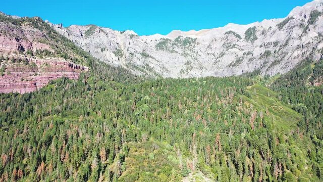 Aerial Drone Reveal of Beautiful Ouray Colorado Thick Pine Tree Forest and Mountain Range During Summer with Cars Driving on Highway 550 by Rocky Mountain Houses