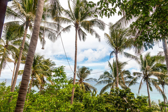 Thailand Siam Reise Urlaubsparadies S&uuml;dostasien