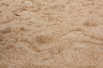 Lines in the sand of a beach