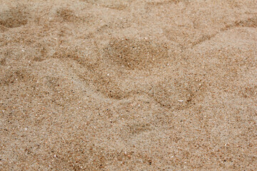 Lines in the sand of a beach