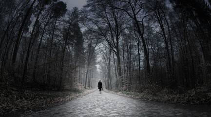 Eine Frau geht einsam über eine Strasse in einem dunklen Wald - obrazy, fototapety, plakaty