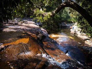 Beautiful water stream of waterfall with green tropical tree and stone landscape.