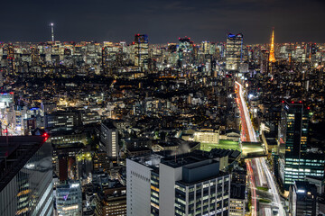 Fototapeta premium 都会の夜景 ： 東京 タワー方面