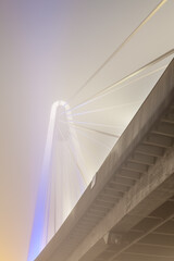 bridge over water whit fog