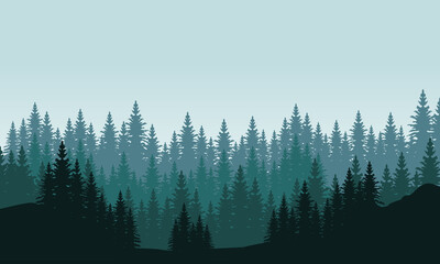 Scenery spruce in the city edge in the morning. City vector