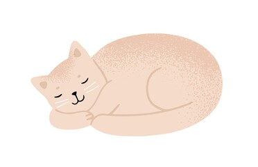 Relaxed fluffy beige cat sleeping vector flat illustration. Cute domestic animal lying enjoying relaxation isolated on white. Funny kitten with furry tail asleep. Happy pet resting with closed eyes