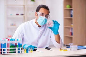 Young male chemist working in the lab