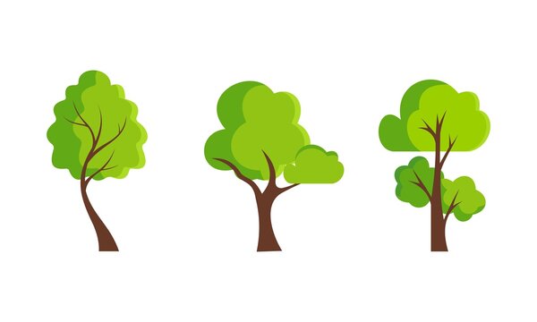 Collection of trees illustrations. Green tree fertile a variety of forms on the white background