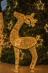 Beautiful shiny Christmas golden deer.Colorful abstract bokeh blur defocus  background.Bokeh background for festival season.