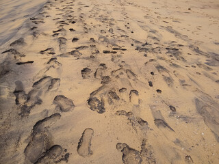 Footprints in the sand