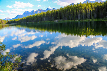Fototapeta na wymiar A view of Bow Lake in the Canadian Rockies