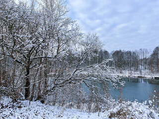 snowy winter landscape with snow-covered trees and frozen river