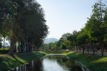 Fototapeta na wymiar Sukothai historical park, Sukothai, Thailand