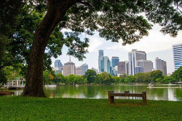 Obraz premium Lumpini park with Bench and tree in Bangkok Thailand