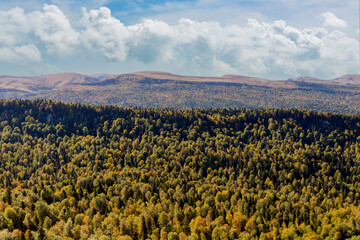 Panoramic view over mountains covered by forest