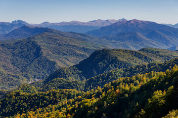 Panoramic view over mountains covered by forest