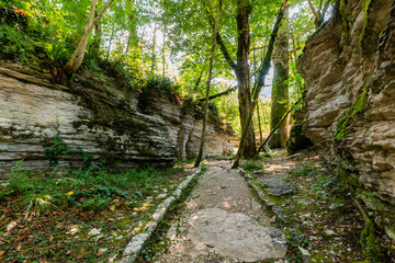 Fototapeta premium Gap or cleft in ground in mysterious forest. Surroundings of the hiking trail through the rainforest.