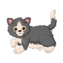 Cute kitten cartoon on white background