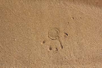 Fototapeta na wymiar handprint in sand beach