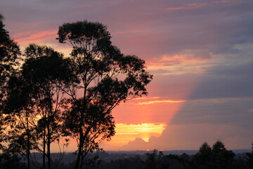 sunset over the forest