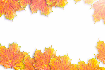 Naklejka na ściany i meble autumn leaves frame on white isolate background.