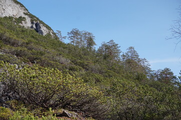 Karwendeltour: Entlang der Isar