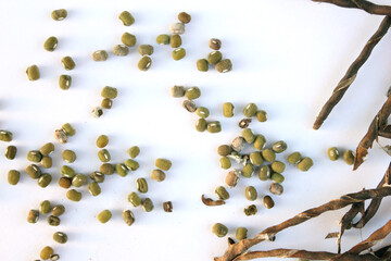 Mung beans and dried pods isolated on white background