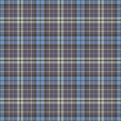 Plaid seamless pattern. Vector background of textile ornament. Flat fabric design.