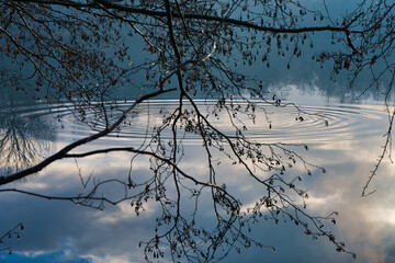 Sonnenaufgang  am See im Elsass