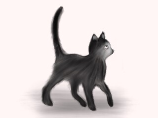 Black cat Illustration isolated on white background