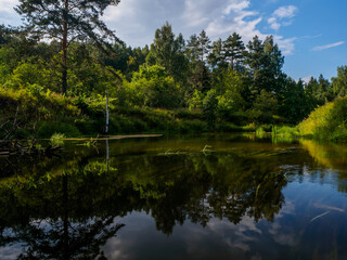 Mirror surface of the river water surface in the middle of the forest. Silence in unique natural locations far from civilisation.