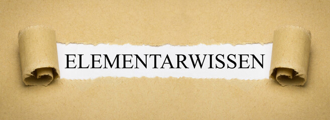Elementarwissen
