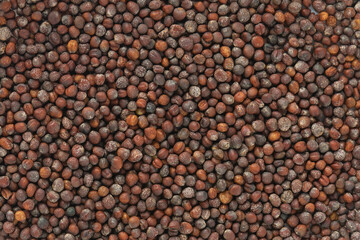 Cabbage seeds. Top view. Flat lay.