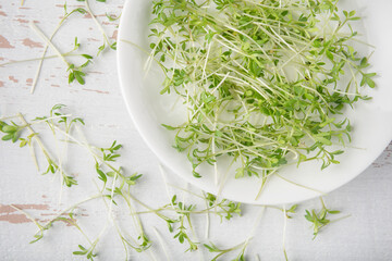 White plate with watercress microgreens on white wooden textured background. Top view.