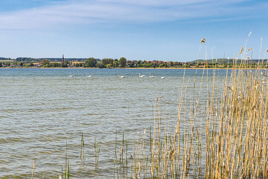 Am Kap am Unteruckersee