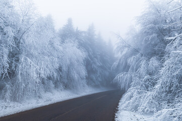 Zima v lese, Bílé Karpaty - obrazy, fototapety, plakaty