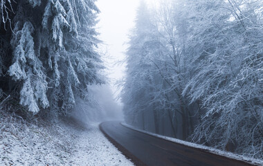 Zima v lese, Bílé Karpaty - obrazy, fototapety, plakaty
