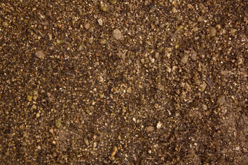 Top view Soil texture background. Sand . 