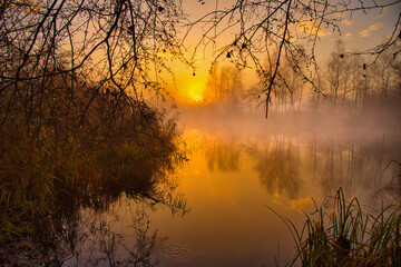 Sonnenaufgang im Grand Ried im Elsass