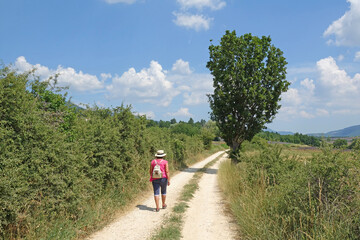 Obraz premium Wandern am Plateau de Sault