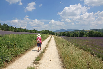 Obraz premium Frau am Plateau de Sault, Provence