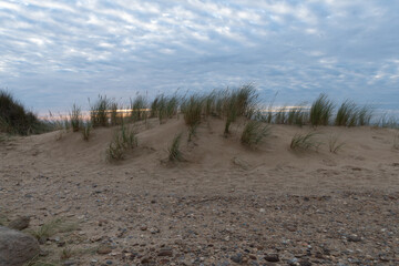 Sand, Gras und Himmel auf Sylt.