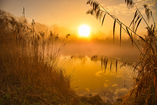 Sonnenaufgang im Grand Ried im Elsass