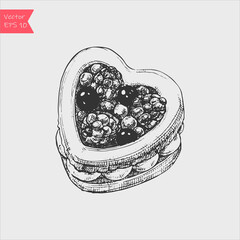 Hand drawn engraved cake with berries. Vector illustration.