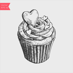 Vector black and white sketch illustration of sweet cupcake.